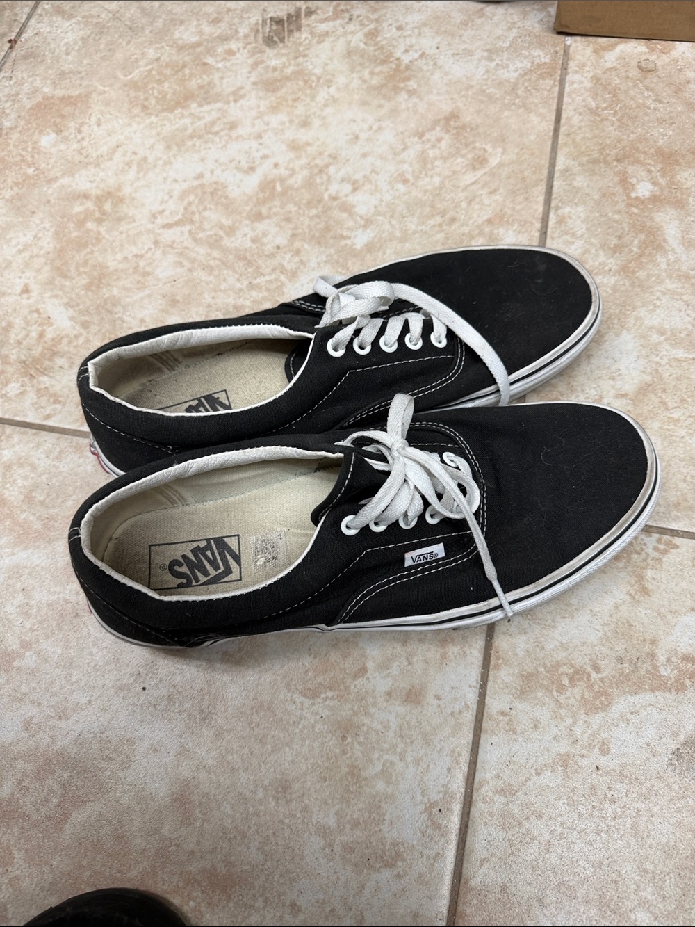 Vans Black Canvas Low-Top Sneakers with White Laces